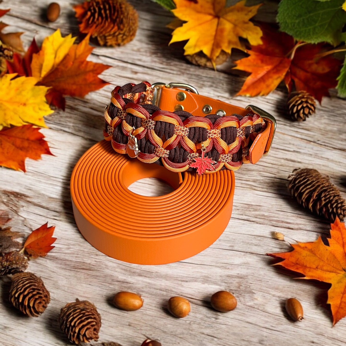 Fuji - 🍁 édition limitée d'automne 🍁