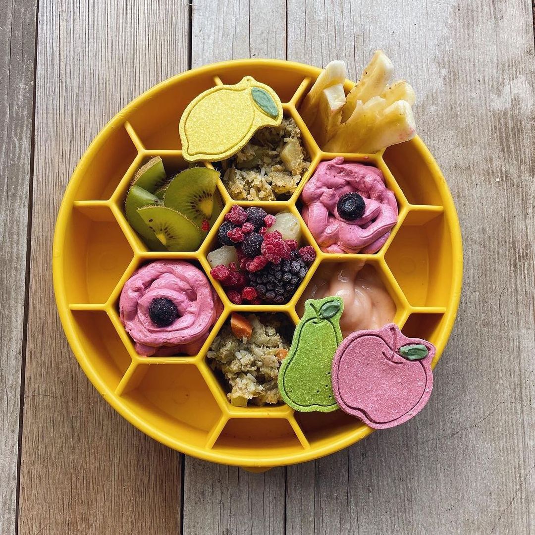 Gamelle Honeycomb