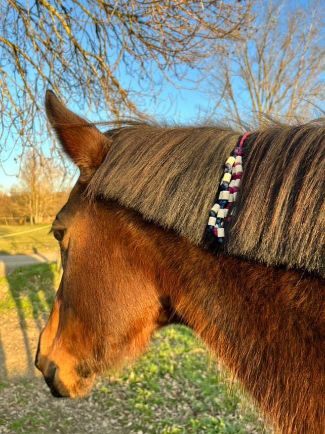 Anti-tiques pour cheval