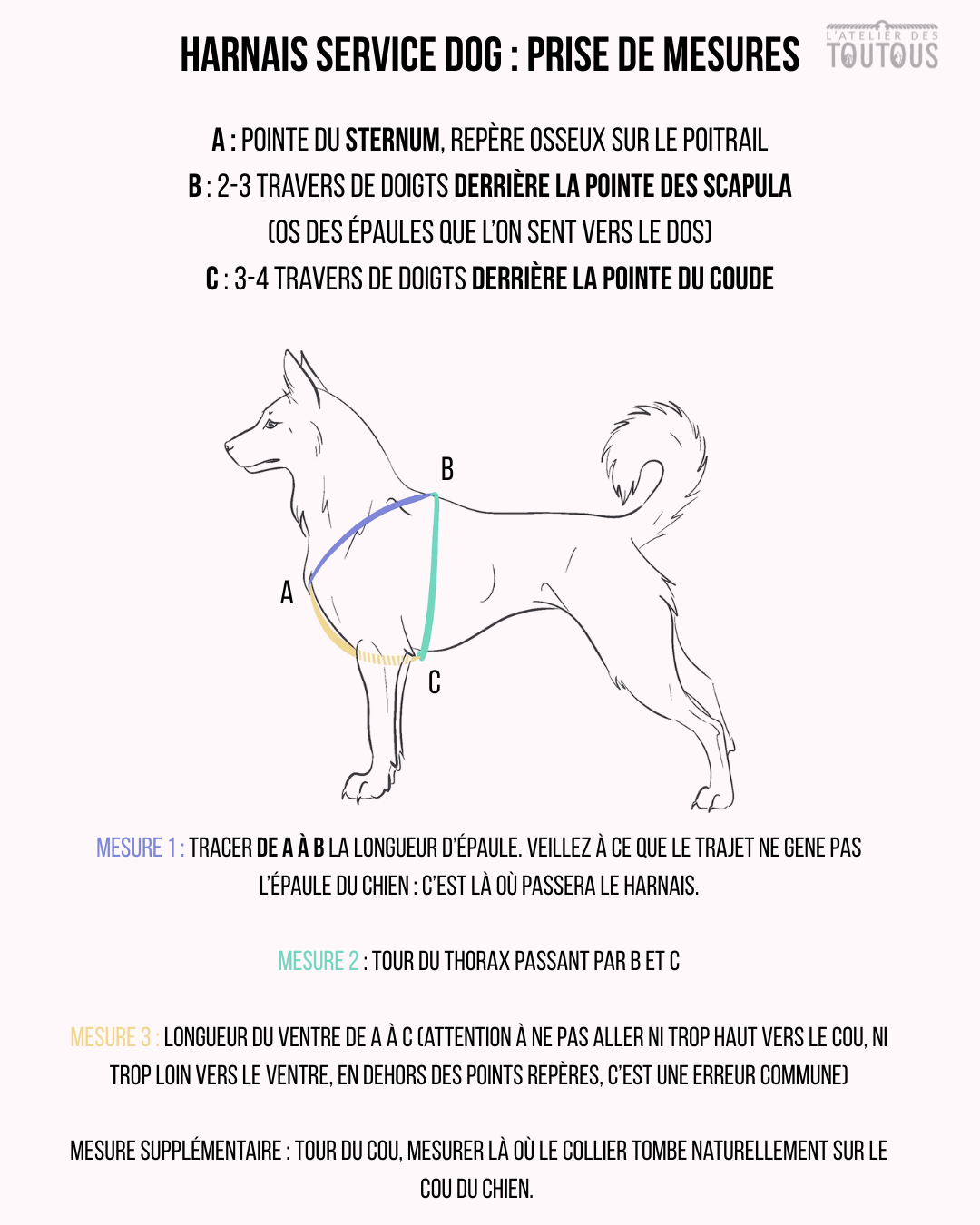 💛 Harnais Service Dog - dos parallèle