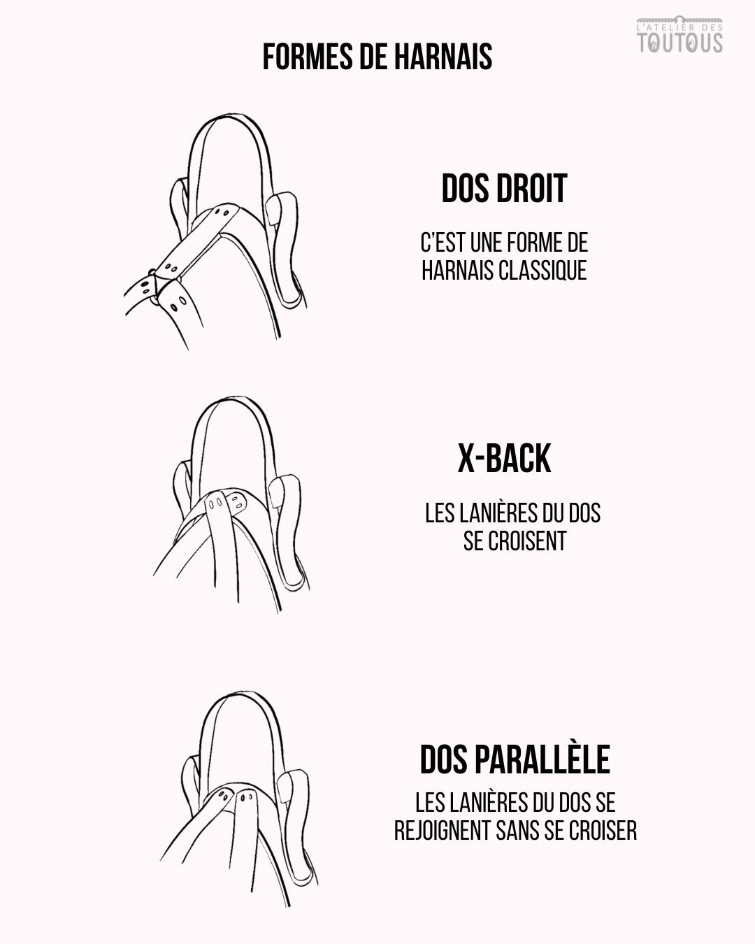 💛 Harnais Service Dog - dos parallèle
