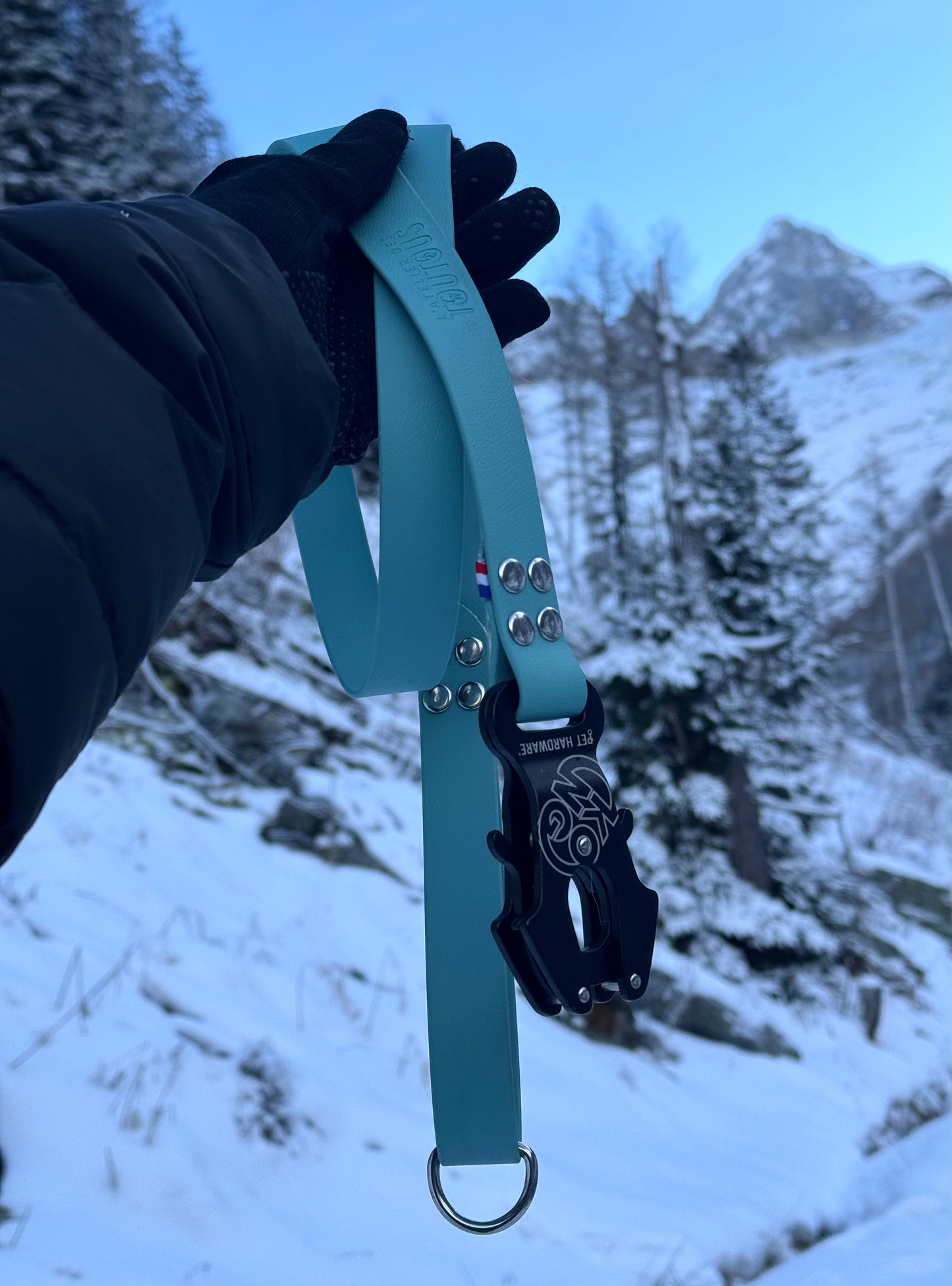Laisse K2