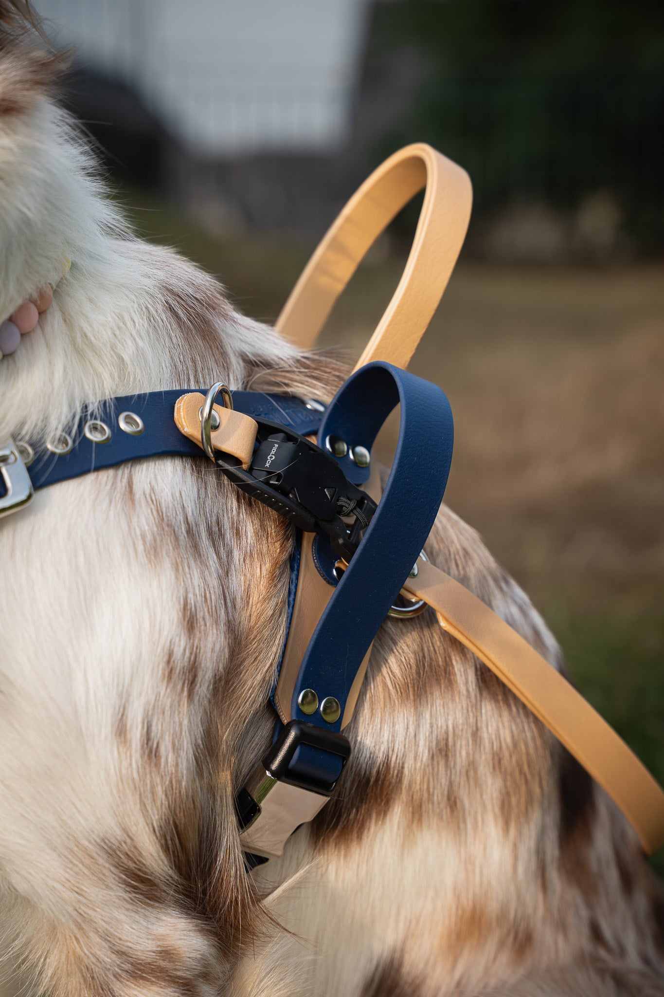 Harnais Service Dog + barre de guidage & poignée