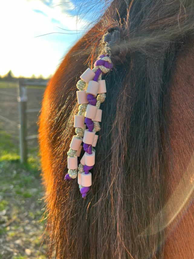 Anti-tiques pour cheval