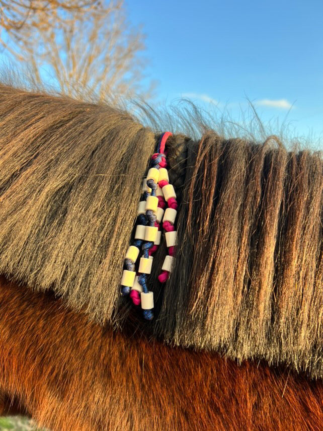 Anti-tiques pour cheval