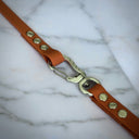 Longe avec poignée amovible (sangle Hexa)