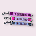 DogTalker 💬 "En chaleurs"