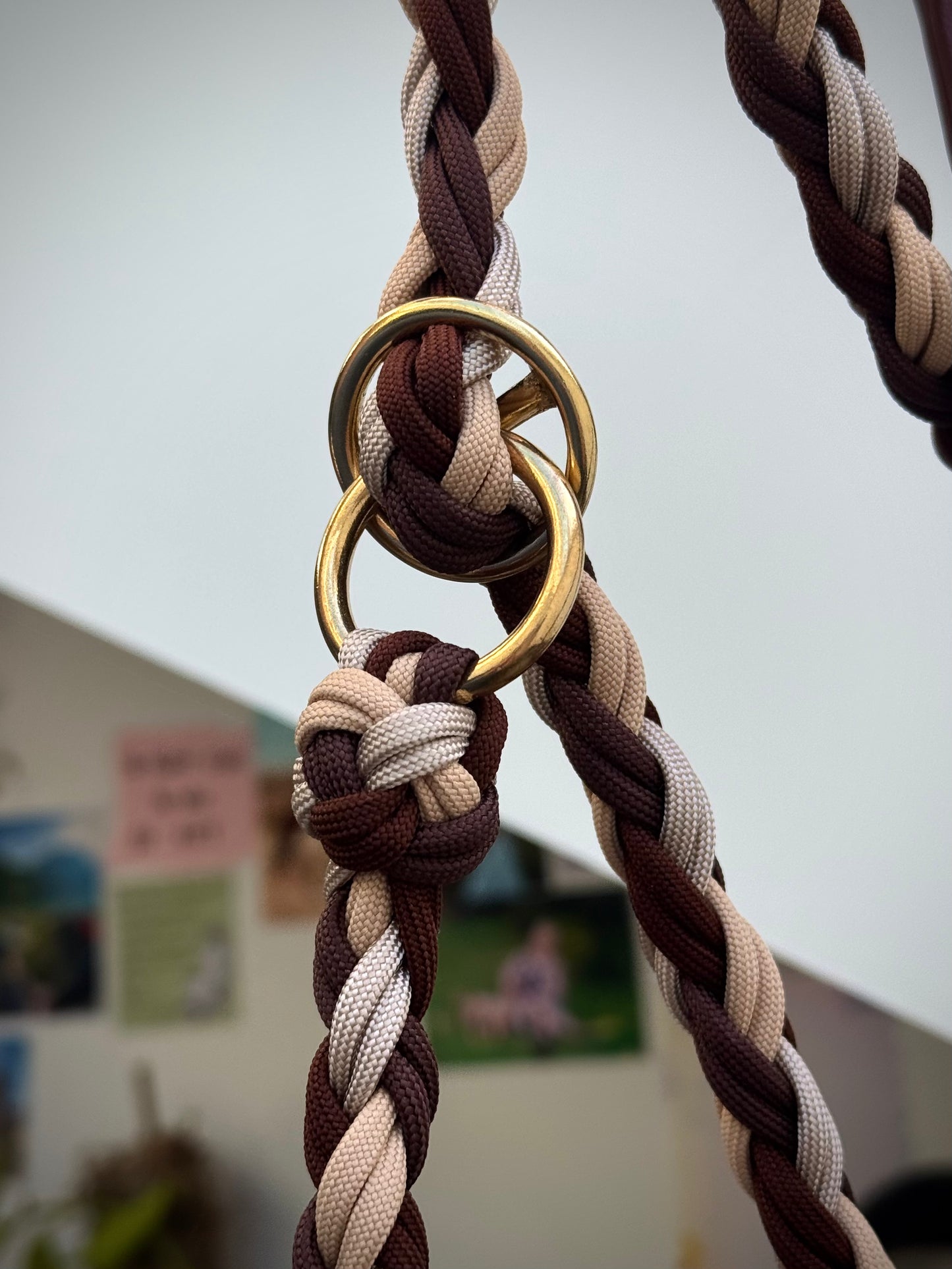 Laisse lasso