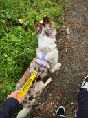 Poignée à message en BioThane®