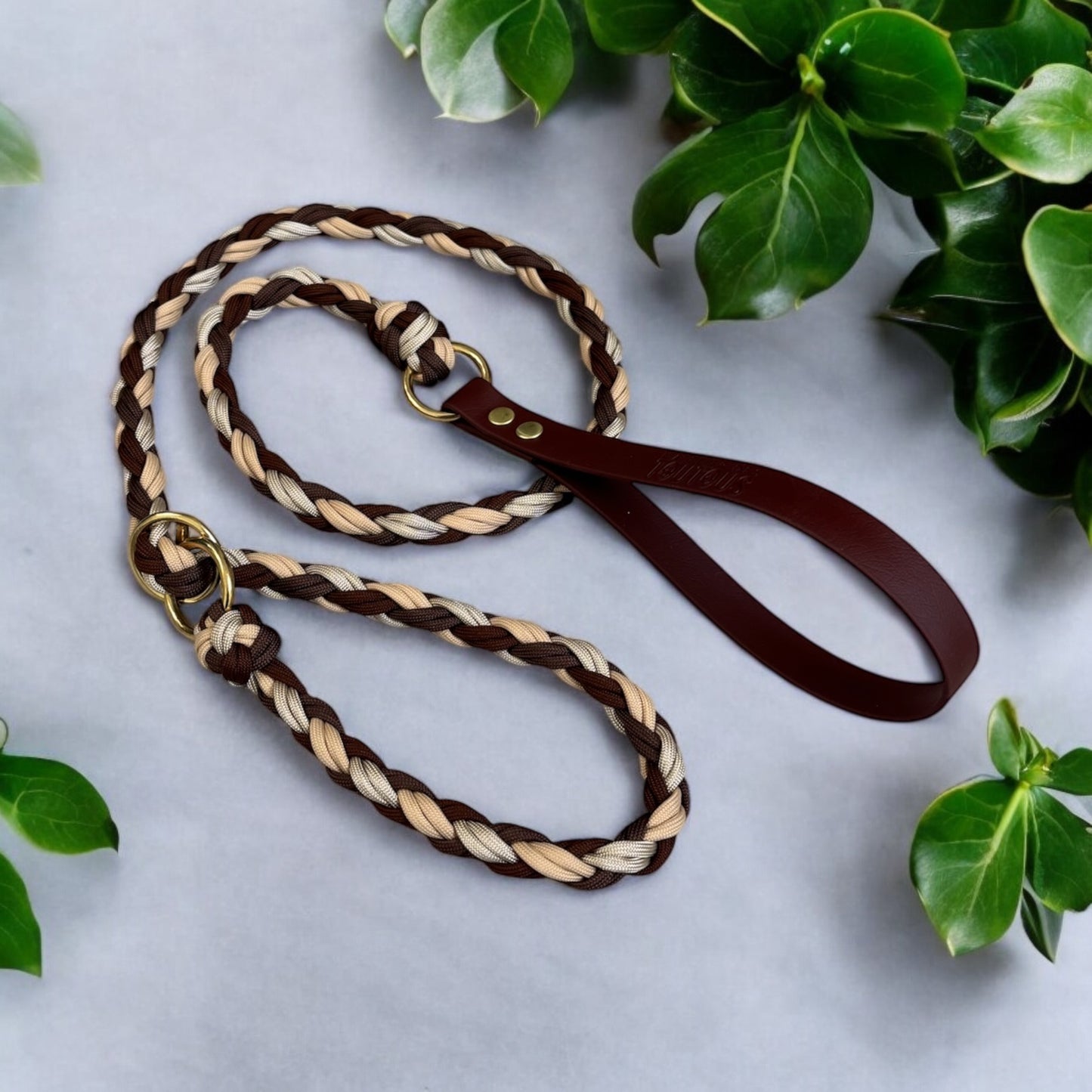 Laisse lasso