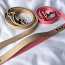 Laisse multipositions tout-en-un BioThane®