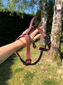 Harnais en Y léger BioThane® 19 mm - saddle brown