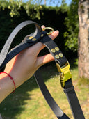 Harnais en Y léger BioThane® 25 mm - noir et doré