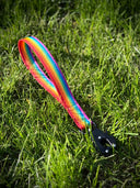 Poignée Rainbow 🌈