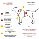 Harnais léger en BioThane® 38mm