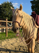 Bosal Gemma