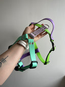 Harnais léger en BioThane® 25mm