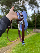 Laisse multipositions tout-en-un BioThane®