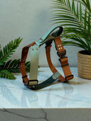 Lightweight 38mm BioThane® harness