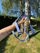 Harnais en Y léger BioThane® 25 mm - myrtille et doré