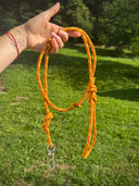 Laisse en corde d'escalade