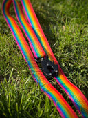 Assistance dogs - Collars and accessories 