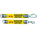 DogTalker© 💬 "Rééducation réactivité"