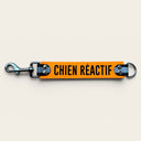 DogTalker© « Chien réactif »