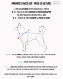 💛 Harnais Service Dog - dos droit