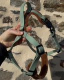 Harnais chien Fidlock en BioThane avec boucles magnétiques, fait main en France par Atelier des Toutous