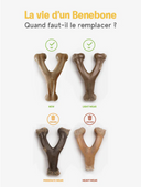 Wishbone saveur bacon