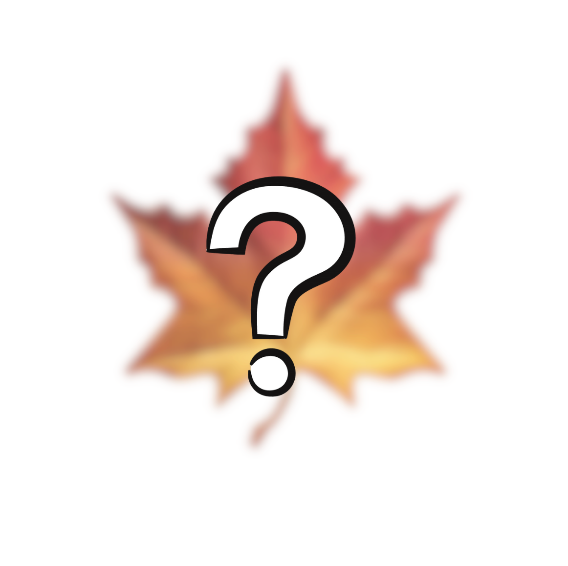 Pré Commande : harnais automne UV 🍂 Pumpkin Spice & Leaves 🥧