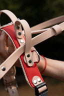 💛 Harnais Service Dog - dos droit