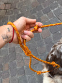 Laisse en corde d'escalade