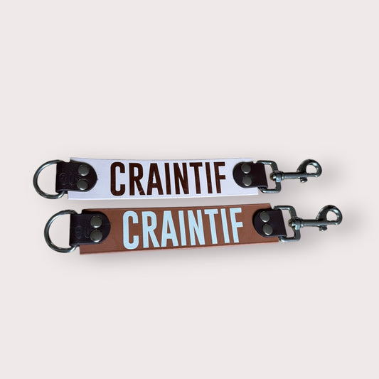 DogTalker 💬 "Craintif"