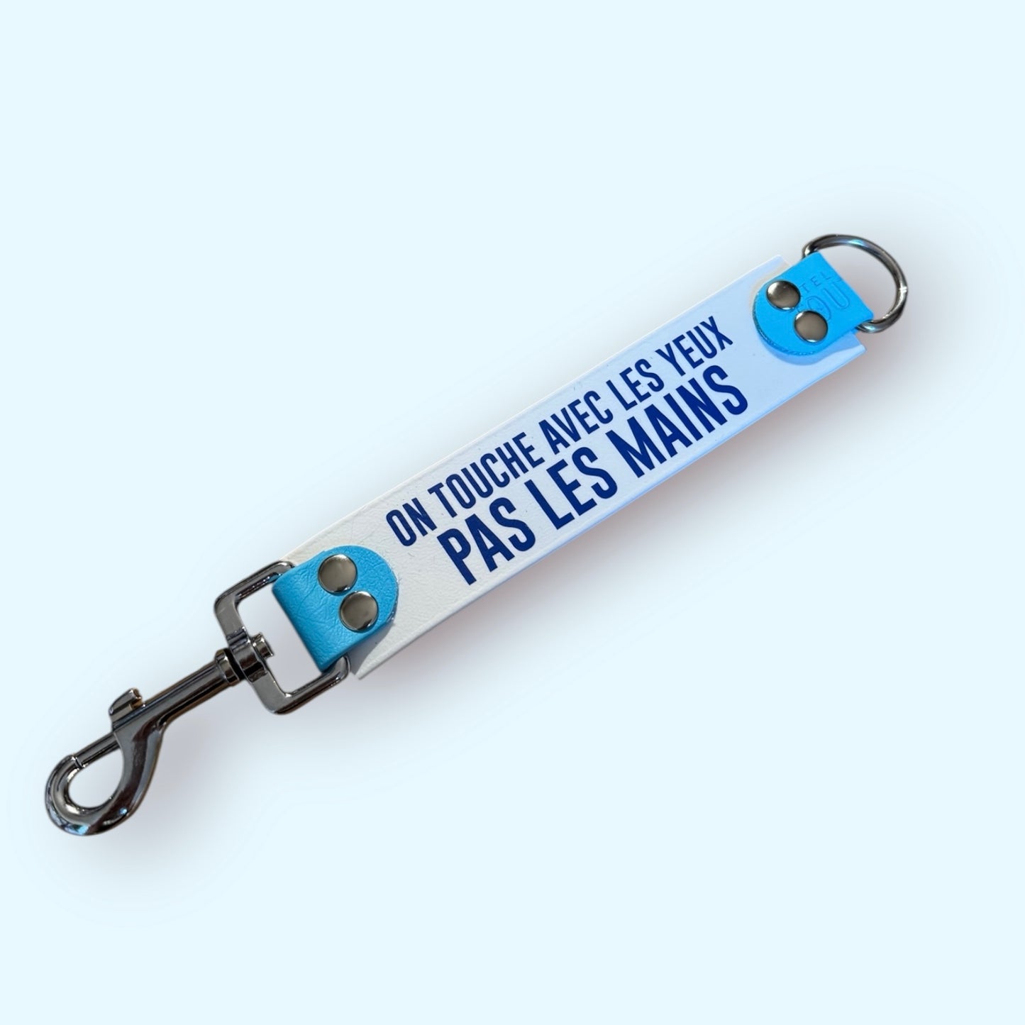 DogTalker 💬 "On touche avec les yeux, pas les mains"
