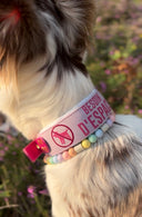 Edelweiss - Collier à message 💬