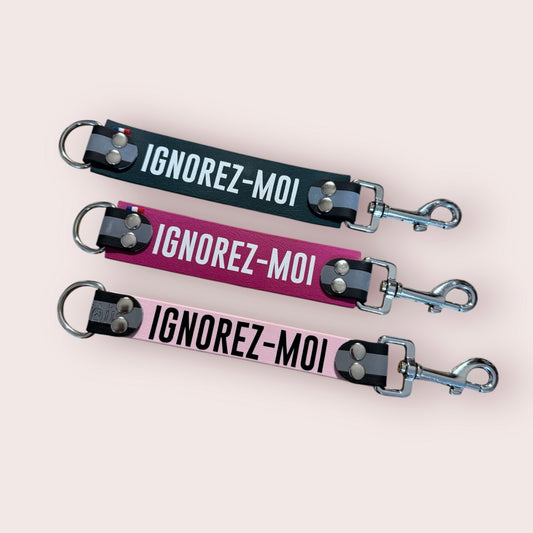 DogTalker 💬 "Ignorez-moi"