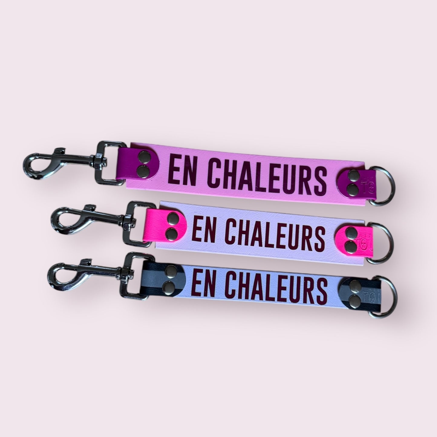 DogTalker 💬 "En chaleurs"
