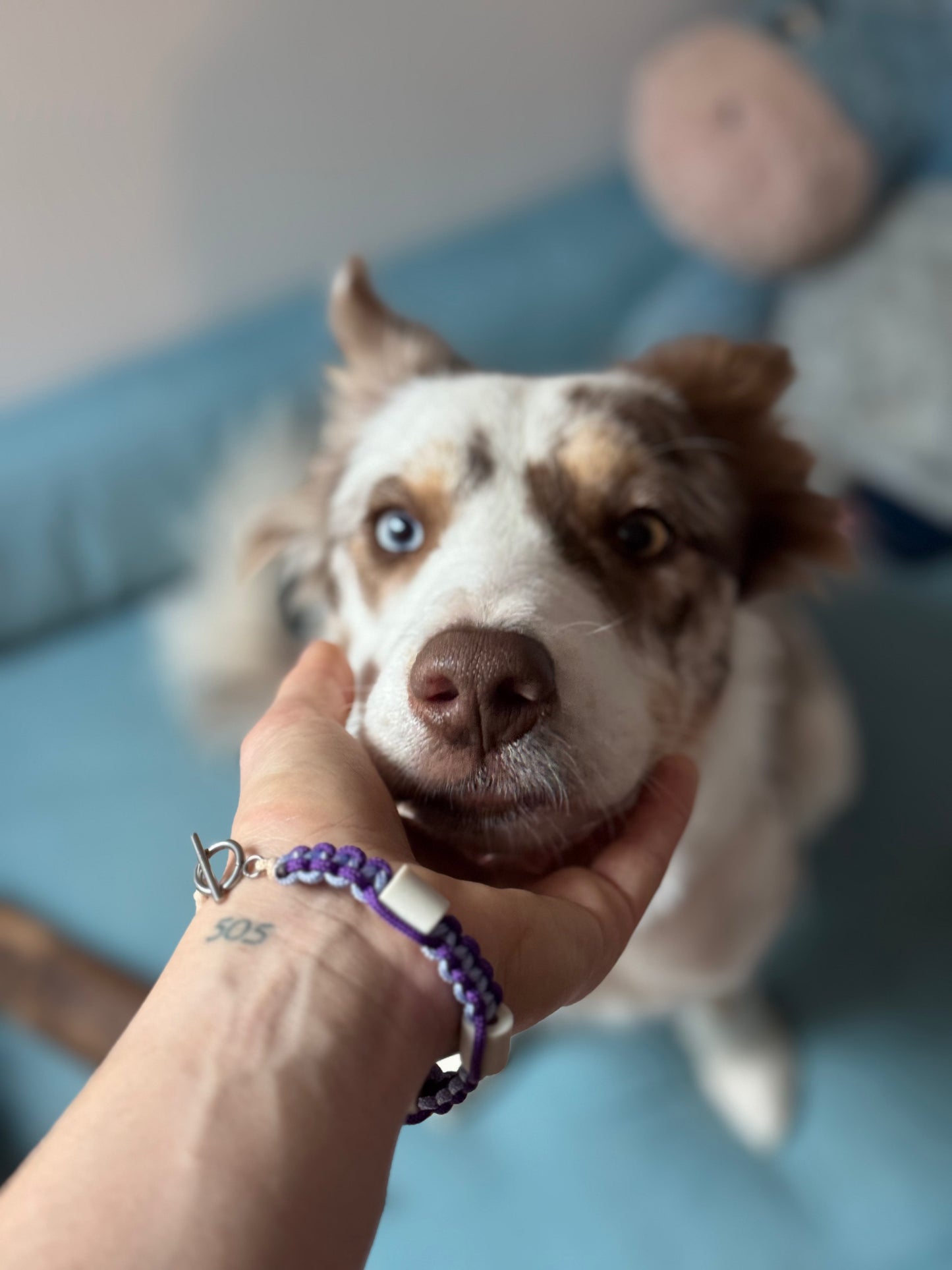 Bracelet anti-tiques pour humain