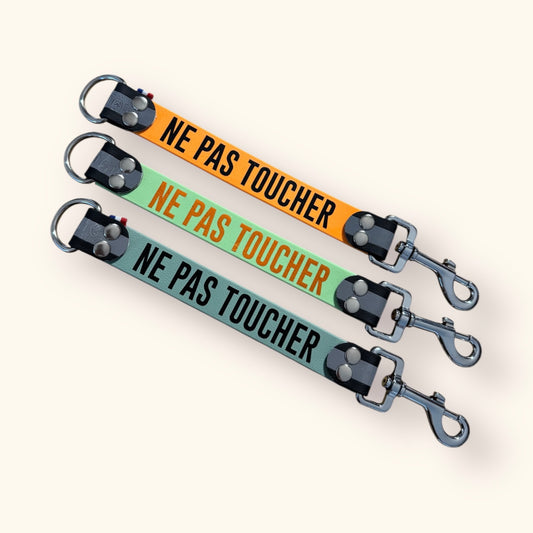 DogTalker 💬 "Ne pas toucher"