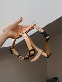 Harnais léger en BioThane® 19mm