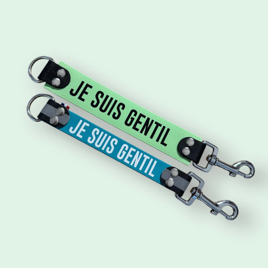 DogTalker 💬 "Je suis gentil"