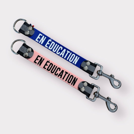 DogTalker 💬 "En éducation"