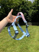 Harnais léger en BioThane® 25mm