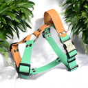 Harnais léger en BioThane® 25mm