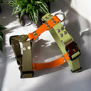 Harnais léger en BioThane® 25mm