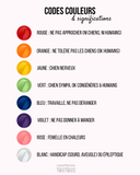 DogTalker - Code Couleurs