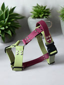 Harnais léger en BioThane® 38mm