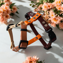 Harnais léger en BioThane® 19mm